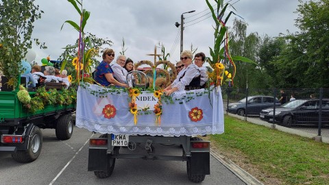 Zdjęcie - 