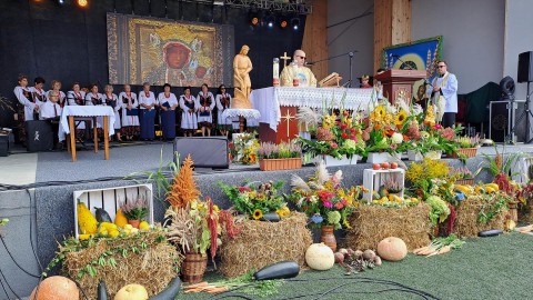 Zdjęcie - 
