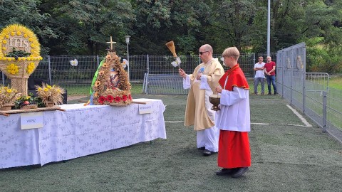Zdjęcie - 