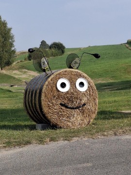 Zdjęcie - 