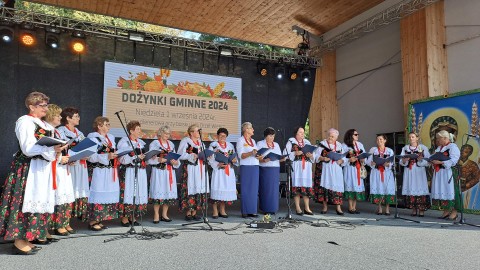 Zdjęcie - 