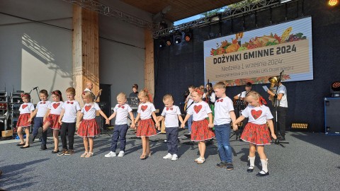 Zdjęcie - 