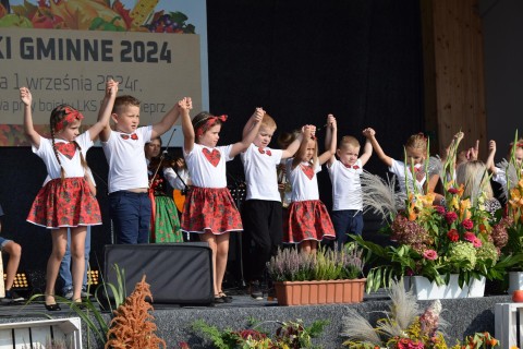 Zdjęcie - 