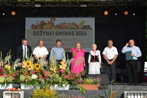 Zdjęcie - 