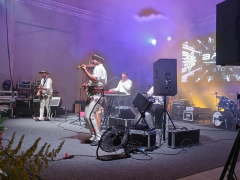 Zdjęcie - 