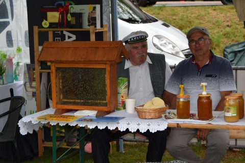 Zdjęcie - 