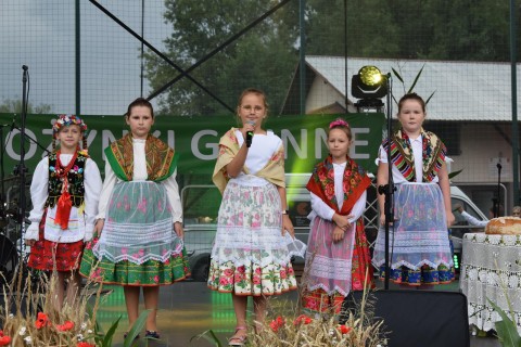 Zdjęcie - 