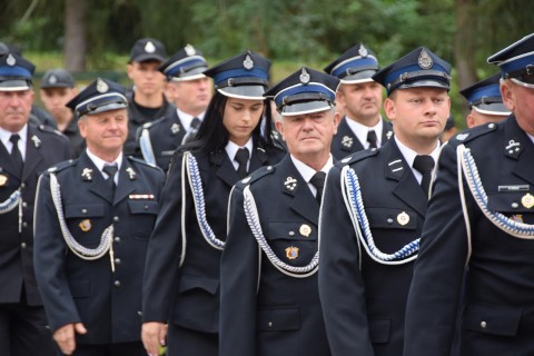 Zdjęcie - 